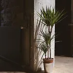 Albergue Ho36 Lyon